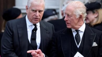 एपस्टीन कनेक्शन पर बढ़ी मुश्किलें: प्रिंस एंड्रयू से जुड़ी जांच ने फिर पकड़ा जोरम,पुलिस ने किया गिरफ्तार