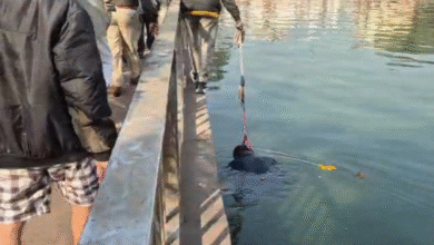 राजधानी के तालाब में मिला अज्ञात शव, इलाके में मचा हड़कंप