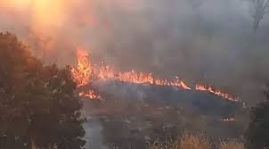 धमतरी के पहाड़ी इलाके में जंगल की आग, वन विभाग ने मौके पर किया काबू पाने का प्रयास