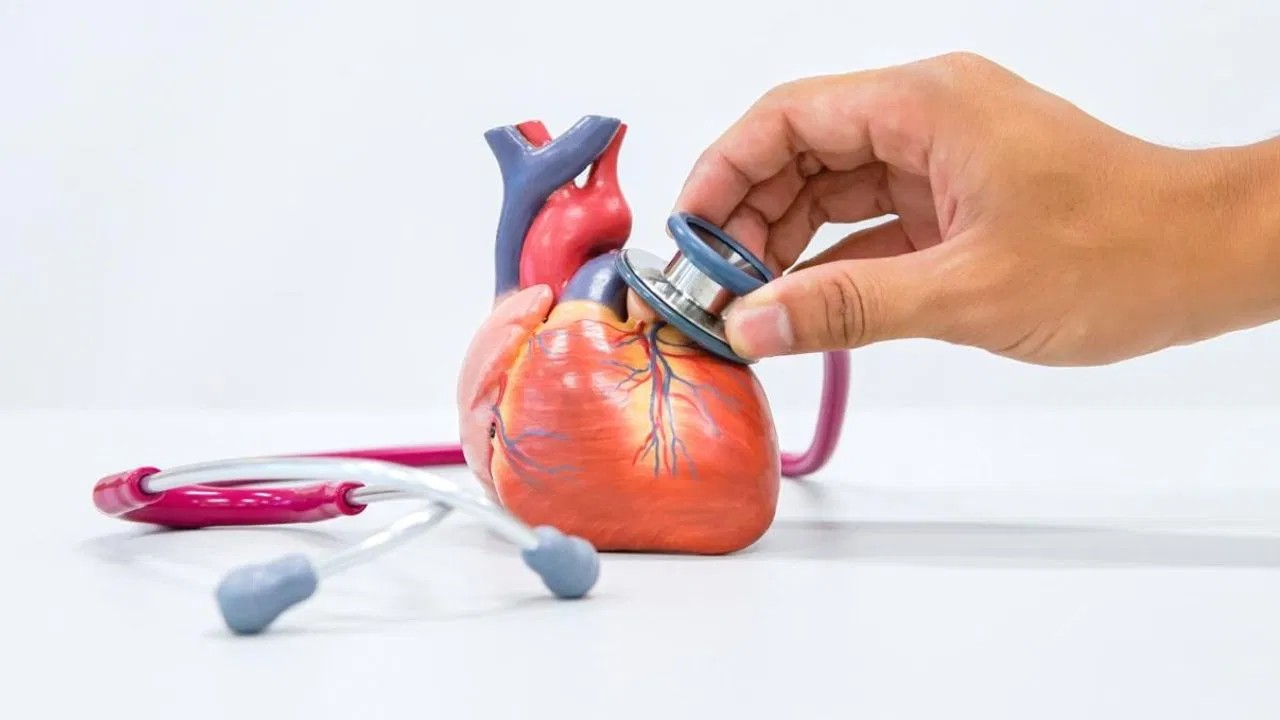 क्या होता है ब्रोकन हार्ट सिंड्रोम, दिल पर कैसे करता है असर? क्या होता है ब्रोकन हार्ट सिंड्रोम, दिल पर कैसे करता है असर?