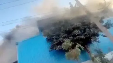 Big Breaking : फरीदाबाद के मुजेसर में फैक्टरी में भीषण विस्फोट, 30 से अधिक मजदूर झुलसे Big Breaking : फरीदाबाद के मुजेसर में फैक्टरी में भीषण विस्फोट, 30 से अधिक मजदूर झुलसे