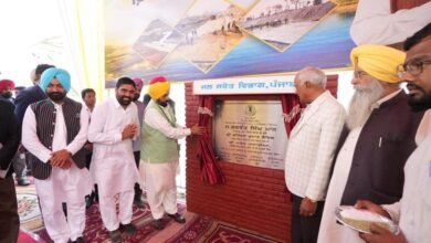 Punjab: किसानों को फिरोजपुर फीडर नहर की सौगात, 6 लाख हेक्टेयर भूमि में सिंचाई को फायदा