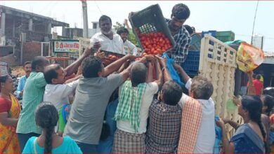 यहां मुफ्त में बंट रहे टमाटर… बोरियां भर-भरकर ले गए लोग, हैरान कर देगी वजह