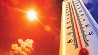 छत्तीसगढ़ में फरवरी में ही 30 डिग्री पार, अगले 7 दिन कैसा रहेगा मौसम? छत्तीसगढ़ में फरवरी में ही 30 डिग्री पार, अगले 7 दिन कैसा रहेगा मौसम?