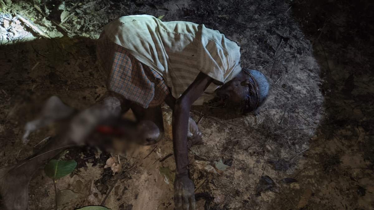 हाथी ने मचाई दहशत : लकड़ी लेने गए बुजुर्ग को हाथी ने उतारा मौत के घाट, हाथियों की मौजुदगी गांवों में सन्नाटा हाथी ने मचाई दहशत : लकड़ी लेने गए बुजुर्ग को हाथी ने उतारा मौत के घाट, हाथियों की मौजुदगी गांवों में सन्नाटा