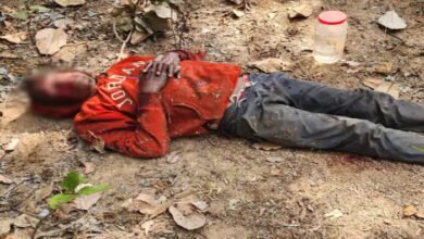 मरवाही के जंगल में भालू का हमला, भेलवा बीनने गए व्यक्ति घायल