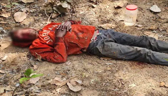 मरवाही के जंगल में भालू का हमला, भेलवा बीनने गए व्यक्ति घायल