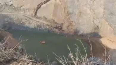 ओडेला खनन क्षेत्र में हादसा: मशीन समेत ऑपरेटर खाई में गिरा, NDRF चला रही रेस्क्यू ऑपरेशन