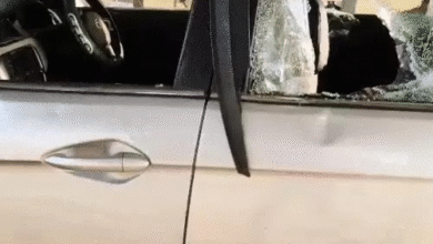 कोंडागांव में सरकारी मक्का प्लांट पर भीड़ का हमला: दफ्तर-गाड़ियों में तोड़फोड़, फोर्स पर गुलेल से अटैक; वेस्ट से फसलों को नुकसान का आरोप