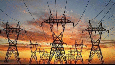 दिल्ली में उपभोक्ताओं को बड़ी राहत, आपस में बिजली खरीद-बेच सकेंगे, DERC ने दी एनर्जी ट्रेडिंग को मंजूरी