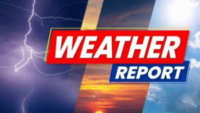 दिन में गर्मी बढ़ने से छूटने लगा पसीना, रायपुर में 33 डिग्री पहुंचा तापमान