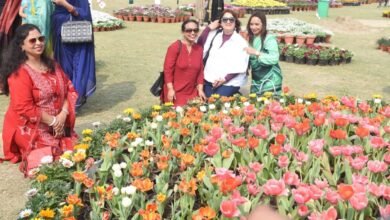 40 से ज्यादा स्टॉल, सैकड़ों वैरायटी के पौधे… ‘नोएडा फ्लावर शो’ में दूसरे दिन भी दिखी रौनक