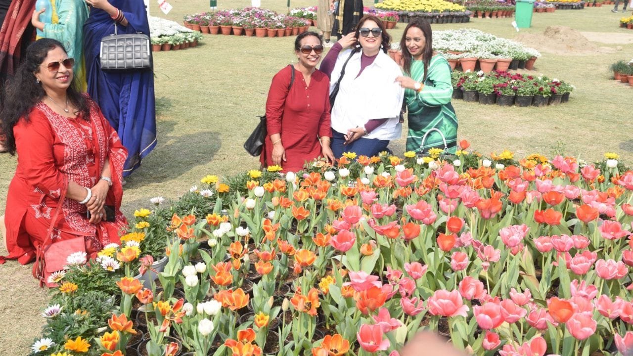 40 से ज्यादा स्टॉल, सैकड़ों वैरायटी के पौधे… ‘नोएडा फ्लावर शो’ में दूसरे दिन भी दिखी रौनक
