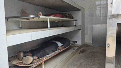 तेज रफ्तार पिकअप ने मॉर्निंग वॉक कर रहे 3 लाेगाें को रौंदा, दो की मौत, एक की हालत गंभीर