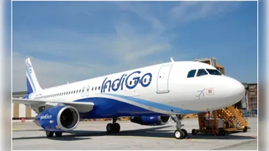 Big News : रायपुर एयरपोर्ट पर इंडिगो फ्लाइट की सख्त लैंडिंग, सभी यात्री सुरक्षित Big News : रायपुर एयरपोर्ट पर इंडिगो फ्लाइट की सख्त लैंडिंग, सभी यात्री सुरक्षित