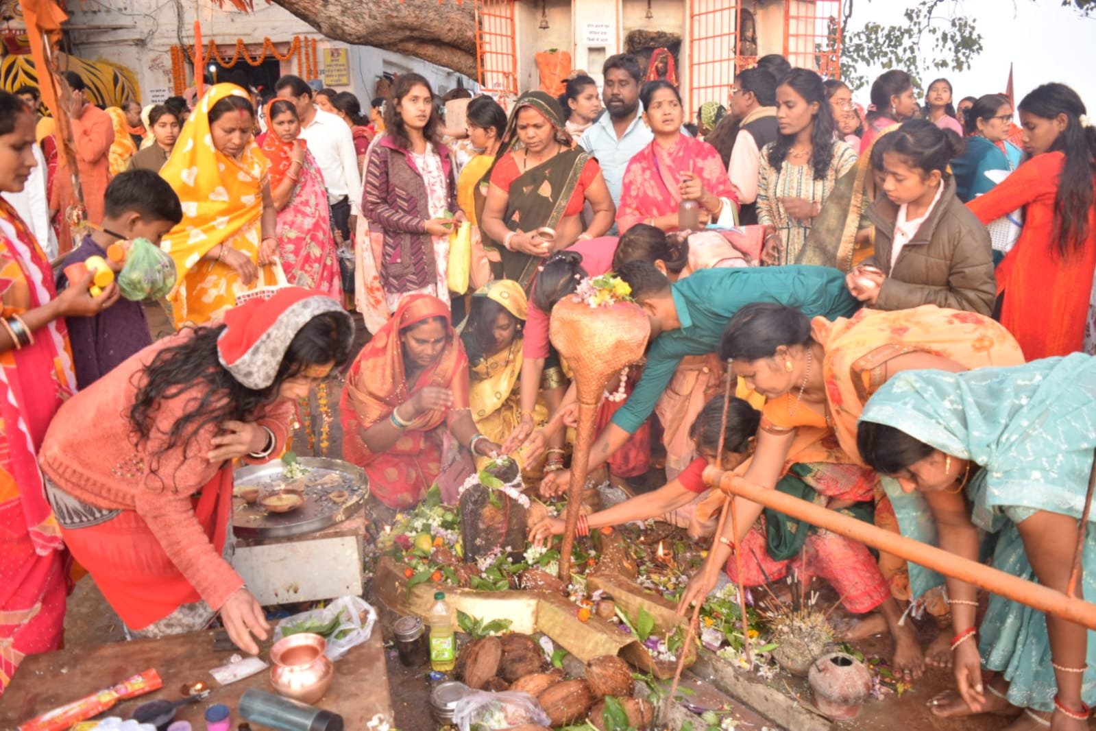 राजिम में महाशिवरात्रि पर त्रिवेणी संगम में आधी रात से शुरू हुआ पुण्य स्नान, दीपदान और जलाभिषेक कर श्रद्धालुओं ने लिया पुण्य लाभ