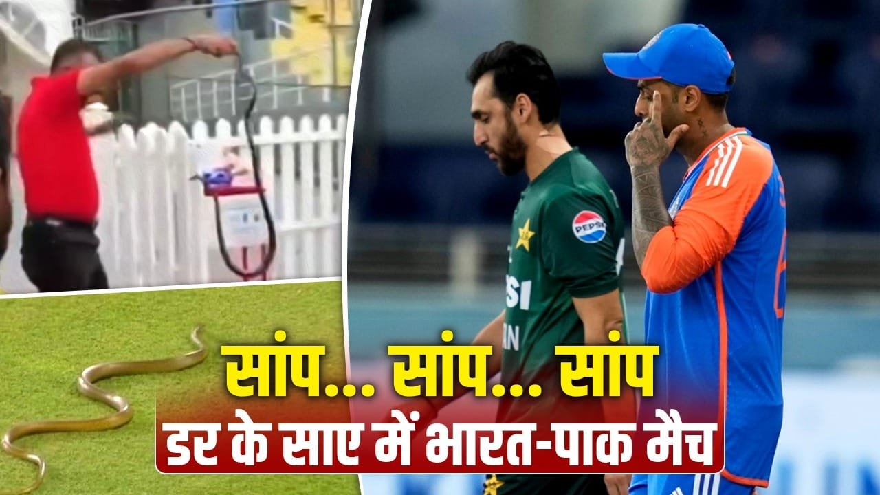 IND vs PAK मैच से पहले स्टेडियम में घुसा सांप, मचा हड़कंप IND vs PAK मैच से पहले स्टेडियम में घुसा सांप, मचा हड़कंप