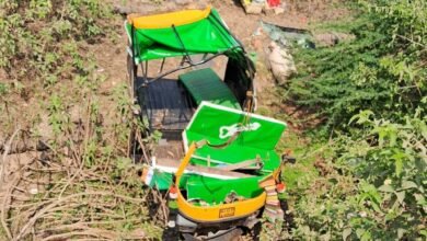 राजस्थान में ‘पाण्णा’ की रस्म पर जा रहे परिवार का ऑटो पलटा, डेढ़ माह के मासूम समेत 3 की मौत; 12 घायल