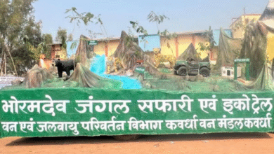 भोरमदेव में जल्द शुरू होगी जंगल सफारी, 17 बार नदी पार करने का मिलेगा रोमांचक अनुभव