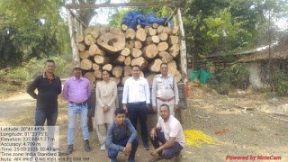 धमतरी में वन विभाग की बड़ी कार्रवाई: अवैध लकड़ी से भरा ट्रक जब्त