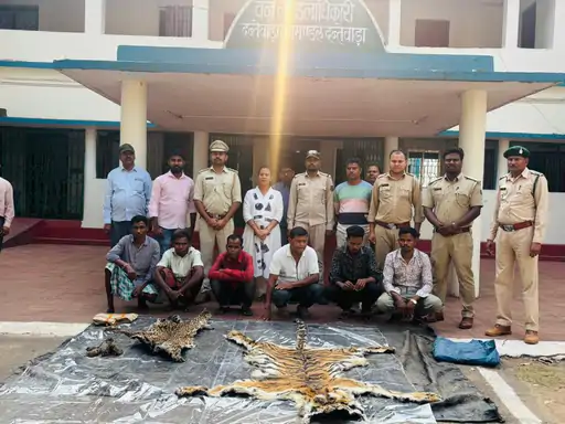 छत्तीसगढ़ में बाघ और तेंदुए की खाल के साथ 6 शिकारी गिरफ्तार छत्तीसगढ़ में बाघ और तेंदुए की खाल के साथ 6 शिकारी गिरफ्तार
