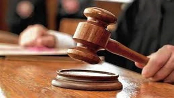 धार कोठी में पेड़ कटाई पर हाई कोर्ट सख्त, अगले आदेश तक रोक