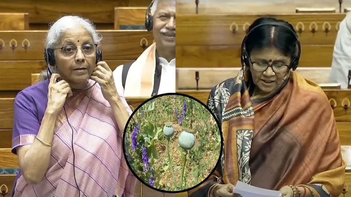 लोकसभा में गूंजा अफीम की खेती का मुद्दा, ज्योत्सना महंत ने उठाए सवाल, निर्मला सीतारमण ने दिया जवाब