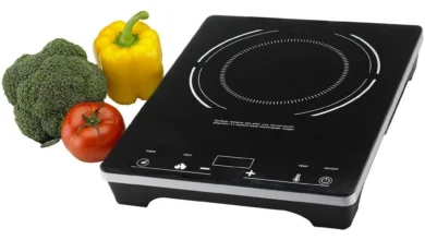 LPG गैस के बाद अब  इंडक्शन भी हुआ लुप्त