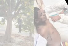 करंट से बुझी एक जिंदगी, सदमे में भाई ने महुआ पेड़ से लटककर दी जान… सूरजपुर में दो दिन में दो मौतों से सन्नाटा