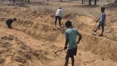 बलरामपुर : नहर निर्माण में बाल मजदूरी! 300 रुपये के लालच में फावड़ा उठाने को मजबूर मासूम