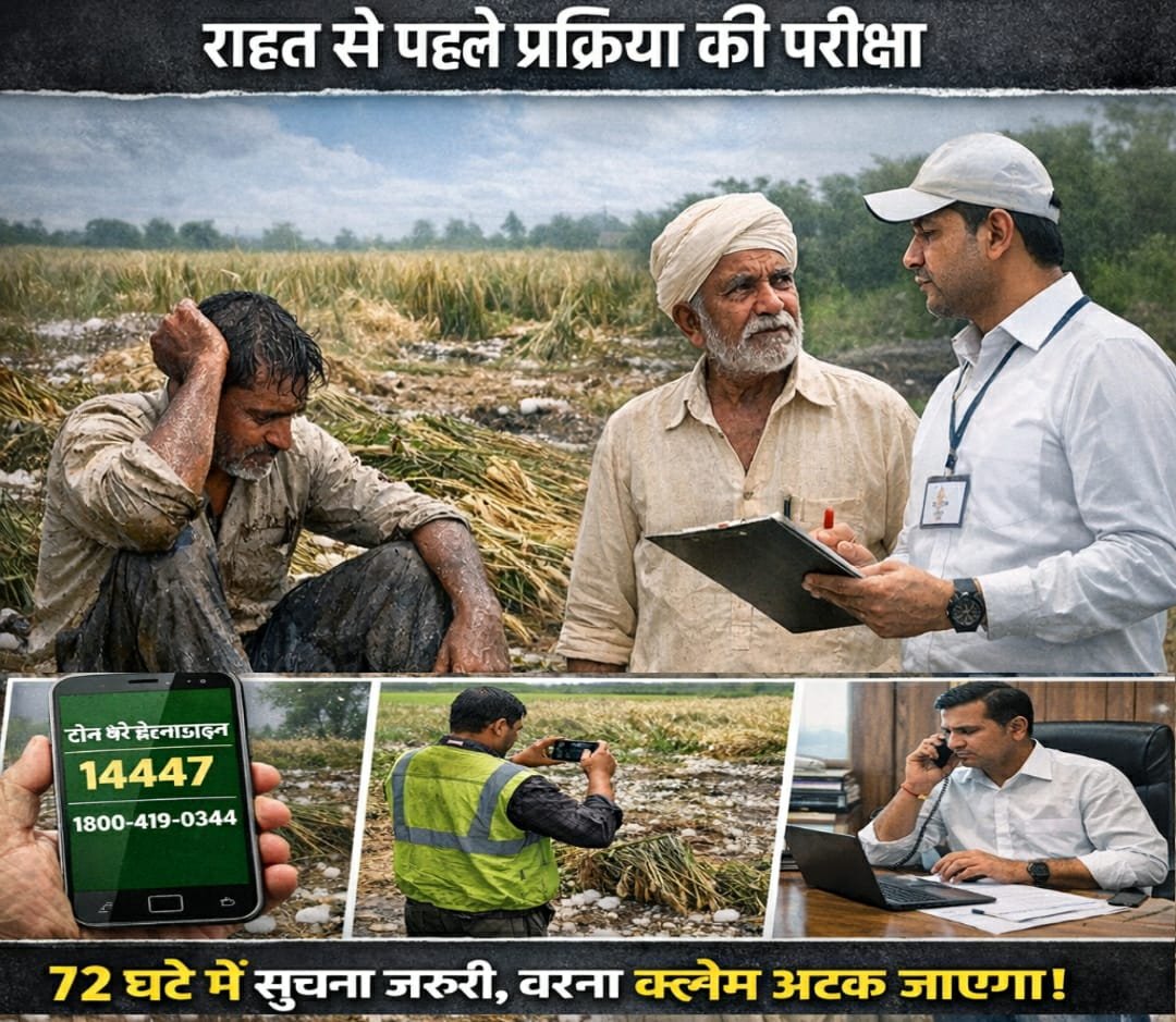 धमतरी: ओलावृष्टि के बाद ‘72 घंटे’ की चुनौती, किसानों के लिए राहत से पहले प्रक्रिया की परीक्षा