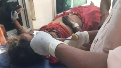 सूरजपुर: झाड़ियों में छिपा था मौत का साया… महुआ बिन रही महिला पर अचानक टूट पड़ा जंगली सूअर