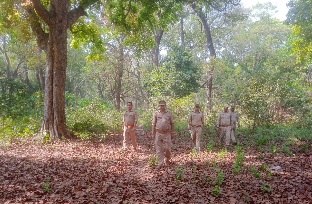 बहराइच के कतर्निया घाट में हुई नर हाथी की मौत जांच में जुटी वन विभाग की टीम