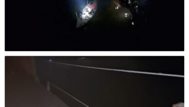 उत्तर प्रदेश: गाजीपुर में हमीद सेतु की रेलिंग तोड़ ट्रैक्टर- ट्रॉली गिरा गंगा में… कई के मौत की आशंका