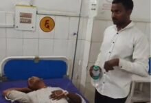 पिता के अंतिम संस्कार में जा रहे बेटे पर मधुमक्खियों का हमला, 5 घायल; एक की हालत गंभीर