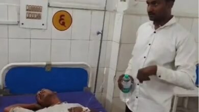 पिता के अंतिम संस्कार में जा रहे बेटे पर मधुमक्खियों का हमला, 5 घायल; एक की हालत गंभीर