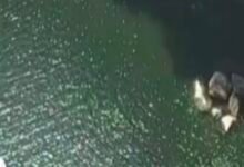 रीवा: चार दिनों से लापता 10वीं की छात्रा का शव क्योटी जलप्रपात में मिला, क्षेत्र में सनसनी