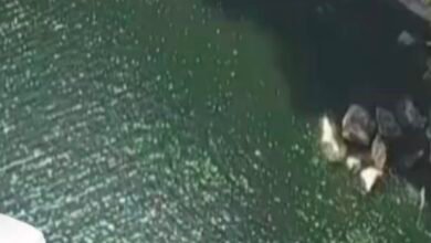 रीवा: चार दिनों से लापता 10वीं की छात्रा का शव क्योटी जलप्रपात में मिला, क्षेत्र में सनसनी