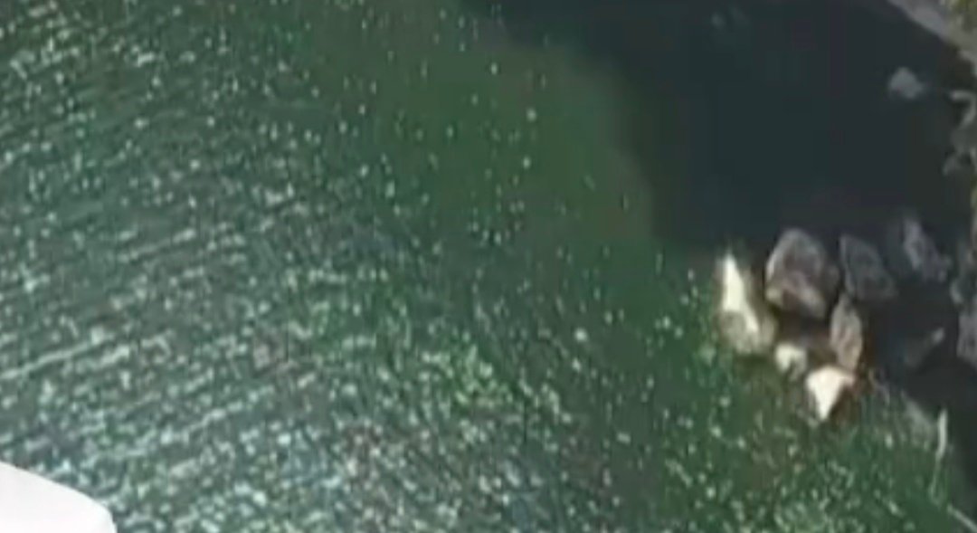 रीवा: चार दिनों से लापता 10वीं की छात्रा का शव क्योटी जलप्रपात में मिला, क्षेत्र में सनसनी