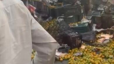 मैहर: NH-30 पर पलटा संतरों से लदा ट्रक, सड़क पर बिछी ‘नारंगी चादर’