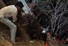 मां शारदा धाम में खतरनाक ट्रेंड: लंबी लाइन से बचने के लिए पहाड़ चढ़ रहे भक्त!