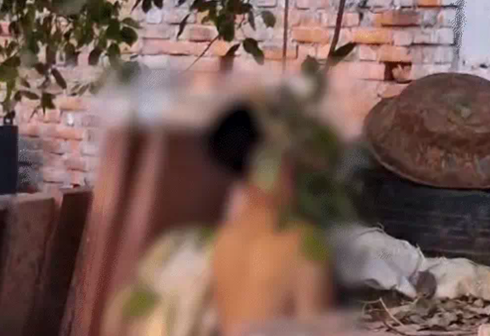 खूनी इश्क का खौफनाक अंत 2 साल के अवैध संबंध के बाद देवर ने भाभी को चाकू से गोदा और फिर खुद लगा ली फांसी खूनी इश्क का खौफनाक अंत 2 साल के अवैध संबंध के बाद देवर ने भाभी को चाकू से गोदा और फिर खुद लगा ली फांसी