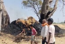 औरंगाबाद में खलिहान में भीषण आग, चार बीघा पुआल जलकर राख