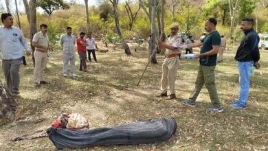 राजस्थान: लेपर्ड ने युवक को बनाया अपना शिकार, शव जंगल की झाड़ियों में मिला