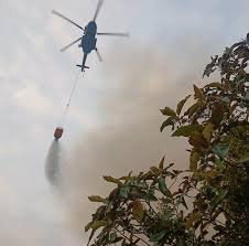 अरुणाचल में जंगल की आग बुझाने उतरी वायुसेना, हेलीकॉप्टर से गिराया 66 हजार लीटर पानी