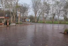 छत्तीसगढ़ में बदला मौसम: बिलासपुर और बस्तर में आंधी-तूफान के साथ तेज बारिश, तापमान में गिरावट