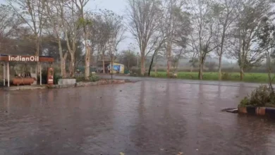 छत्तीसगढ़ में बदला मौसम: बिलासपुर और बस्तर में आंधी-तूफान के साथ तेज बारिश, तापमान में गिरावट