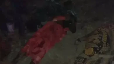 CG Accident : पिकअप वाहन पलटने से दो महिलाओं की मौत, 12 से अधिक घायल
