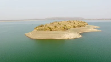 राजस्थान के ये आईलैंड बनेगा टूरिस्ट हब, सरकार का प्लान तैयार; तस्वीरें देख घूमने चले जाएंगे