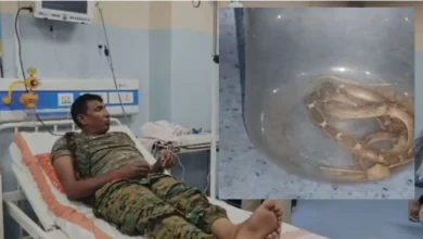 जूते में छिपे सांप ने पुलिसकर्मी को काटा, सूझबूझ दिखाते हुए डिब्बे में बंद कर अस्पताल पहुंचा